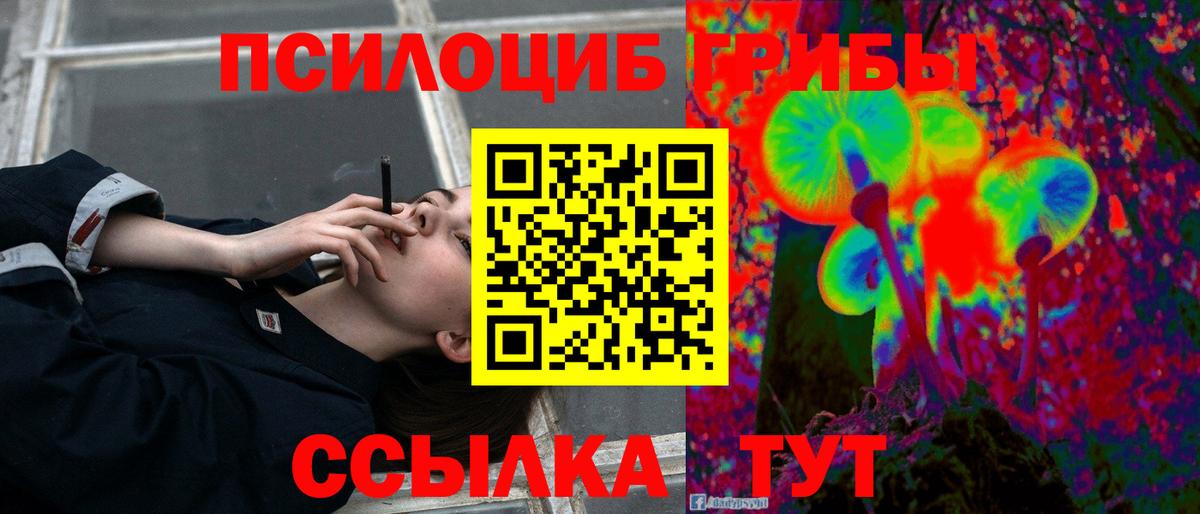 Саров  Псилоцибиновые грибы MAGIC MUSHROOMS  Галлюциногенные грибы Magic Shrooms  Вход с VPN 